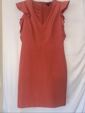 Express Coral Ruffle Sleeve V-Neck Midi Dress